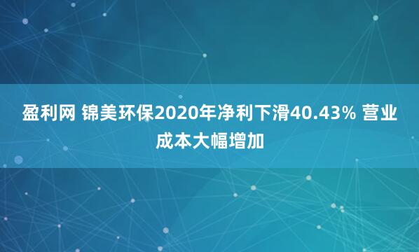 盈利网 锦美环保2020年净利下滑40.43% 营业成本大幅增加