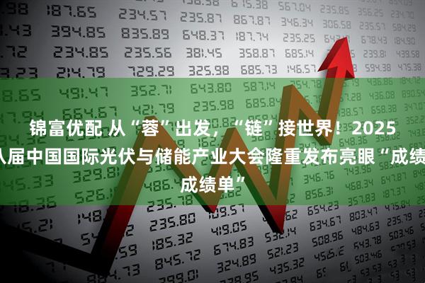 锦富优配 从“蓉”出发，“链”接世界！2025第八届中国国际光伏与储能产业大会隆重发布亮眼“成绩单”