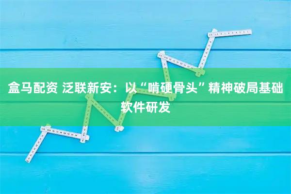 盒马配资 泛联新安：以“啃硬骨头”精神破局基础软件研发