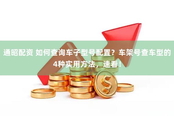 通昭配资 如何查询车子型号配置？车架号查车型的4种实用方法，速看！