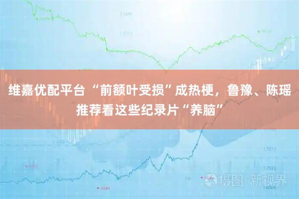 维嘉优配平台 “前额叶受损”成热梗，鲁豫、陈瑶推荐看这些纪录片“养脑”