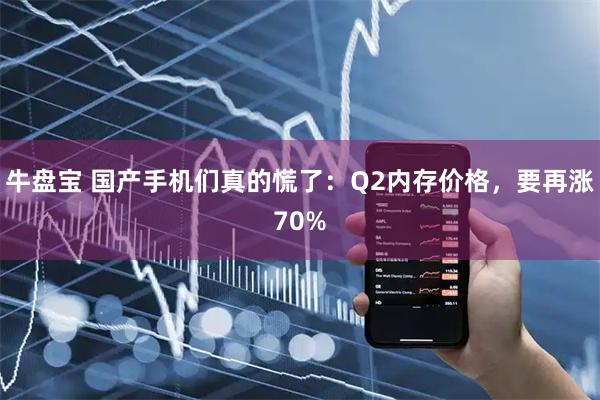 牛盘宝 国产手机们真的慌了:Q2内存价格,要再涨70%