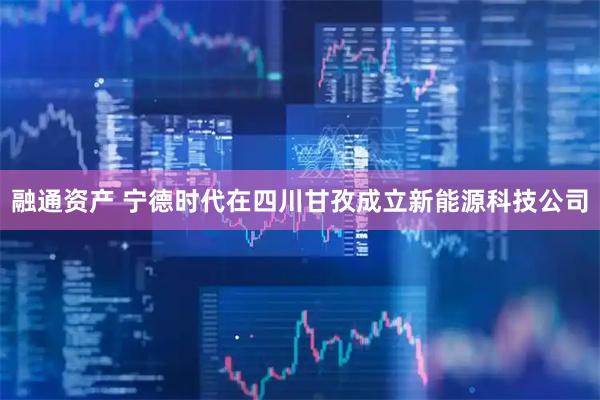融通资产 宁德时代在四川甘孜成立新能源科技公司