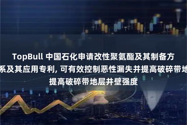 TopBull 中国石化申请改性聚氨酯及其制备方法和堵漏体系及其应用专利, 可有效控制恶性漏失并提高破碎带地层井壁强度