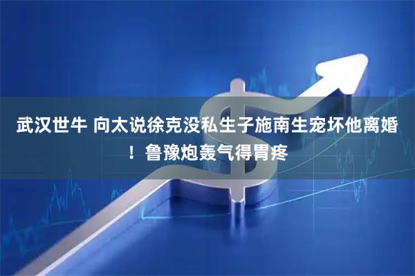 武汉世牛 向太说徐克没私生子施南生宠坏他离婚！鲁豫炮轰气得胃疼
